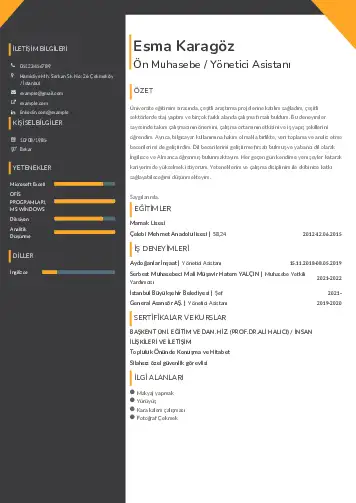 Yönetici Asistanı Cv Örnekleri cv indir